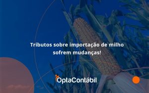 Tributos Sobre Importação De Milho Sofrem Mudanças! Opta Contabil - Contabilidade em Pinhais - PR | Opta Contábil