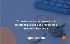 12 Opta Contabil - Contabilidade em Pinhais - PR | Opta Contábil